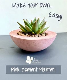 a pink cement planter with succulents in it that says make your own easy