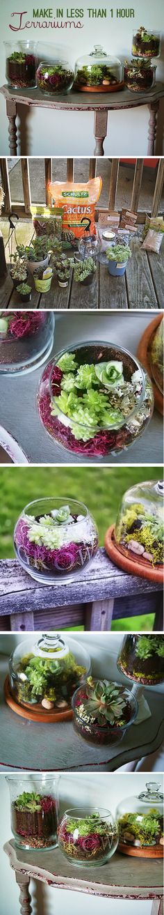 four different shots of food being served on trays and in bowls, including salad