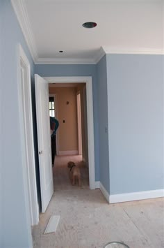 a dog is standing in the middle of an empty room with blue walls and white trim