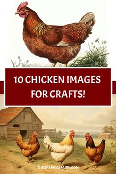 chickens and roosters standing in the grass with text overlay that reads, 10 chicken images for crafts