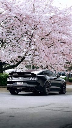 a black sports car parked in front of a cherry blossom tree