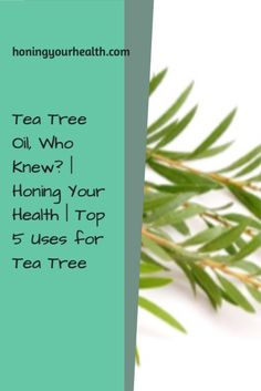 Ever wonder what tea tree oil is used for?  There are lots and here are the top 5!