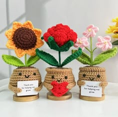 three crocheted vases with flowers in them on a white surface, one is holding a red heart and the other two are saying thank you for giving