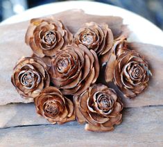 a bunch of pine cones sitting on top of a piece of wood