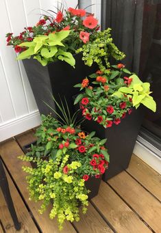 some red and yellow flowers are growing in a black planter on the ground near a door