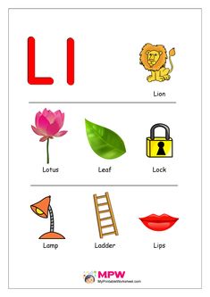 the letter l worksheet for children with pictures and words to describe it's meaning