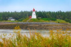 a light house sitting on top of a hill next to a body of water with trees in the background