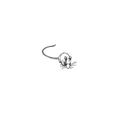 a drawing of a mouse on a white background