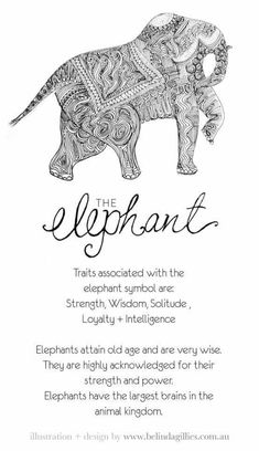 an elephant with intricate designs on it's back and the words, elephants are also in