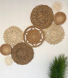 the wall is decorated with wicker circles and palm tree in vases on the table