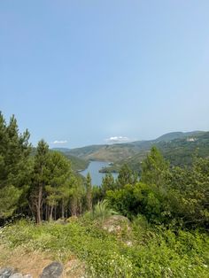 a scenic view from the top of a hill with trees and water in the distance