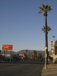 palm trees line the street in front of motels and stores on a clear day