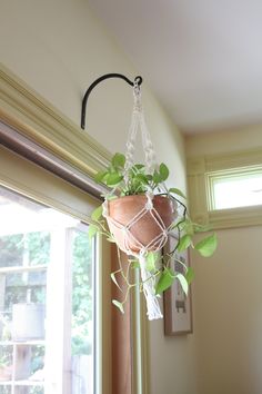 a potted plant hanging from the side of a window