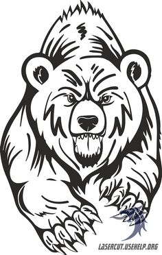 a black and white drawing of a bear's head with its paws spread out