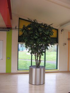 a large potted plant sitting on top of a hard wood floor