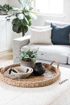 a living room filled with furniture and a potted plant on top of a tray