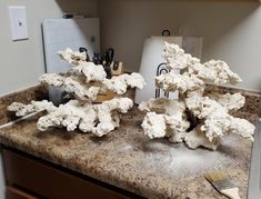 some white corals are sitting on a granite counter top in a room with cabinets