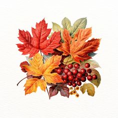 watercolor painting of autumn leaves and berries