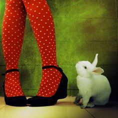 rabbit Funky Tights, Somebunny Loves You, Polka Dot Tights, I'm With The Band, Red Polka Dot, White Rabbit, 가을 패션, Amelie, Girly Things