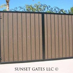 an iron gate with decorative designs on the top and bottom bars, in front of a palm tree