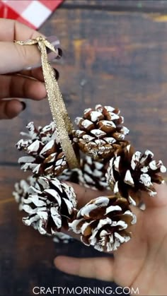 someone holding two pine cones in their hands