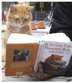 an orange cat sitting on top of a table next to a person reading a book