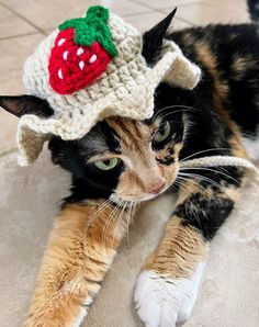 a calico cat wearing a crochet strawberry hat on its head and paws