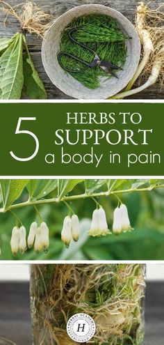 Herbal Recipes, Herbal Apothecary, Cold Home Remedies, Natural Pain Relief, Homemade Remedies