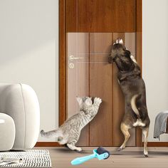 a dog and cat playing with each other in front of a door that is open