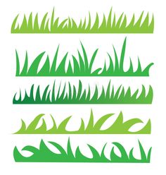 green grass blades set on white background