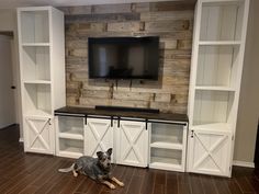 a dog laying on the floor in front of a tv and entertainment center with sliding doors