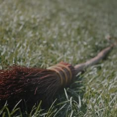 a broom laying in the grass with it's tail sticking out