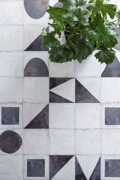 a potted plant sitting on top of a white tiled wall next to black and white tiles