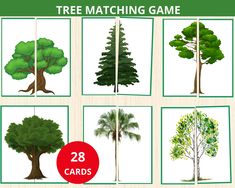 the tree matching game is shown with eight different trees