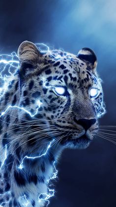 a close up of a snow leopard's face with bright blue lights on it