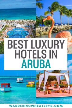 the best luxury hotels in arubaa, with text overlay that reads best luxury hotels in aruba