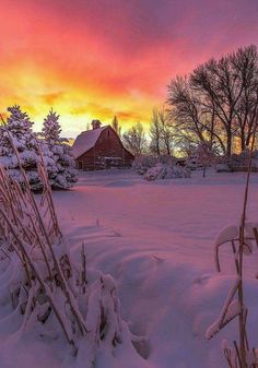 the sun is setting over a snowy field with trees and snow covered bushes in front of it