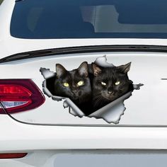 Stickers For Car, Black Cat Sticker, Cute Black Cats, British Shorthair