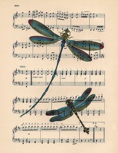 three dragonflies sitting on top of sheet music