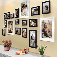 a wall with many pictures on it and a potted plant in the foreground