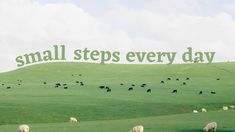 sheep graze in a green field with the words small steps every day above them