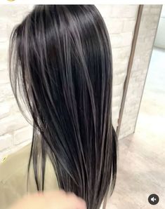 Hair Color Ideas For Thick Wavy Hair, Black With Light Highlights, Black Hair Inspo Color, Streaking Hair Highlights, Cool Toned Highlights On Dark Hair, Black Hair With Streaks, Black Dyed Hair Ideas, Brunette Dyed Hair, Gray Highlights On Black Hair