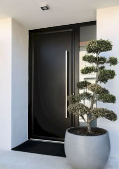 an image of a door with a bonsai tree in the pot next to it