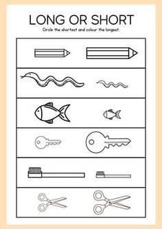 the long or short worksheet is shown with scissors and other things on it