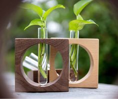 two vases with plants in them sitting on a wooden table next to each other