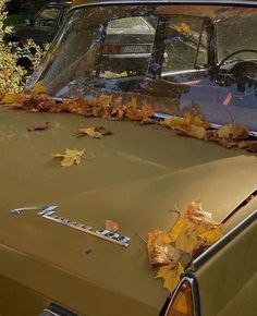 an old car with leaves on the hood