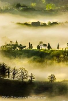 foggy landscape with trees and houses in the distance