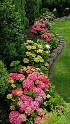 some pink and yellow flowers in a garden