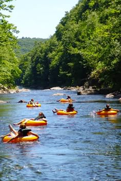 several people on rafts floating down a river