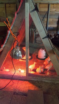 a chicken coop with chickens in it and some lights on the floor next to it